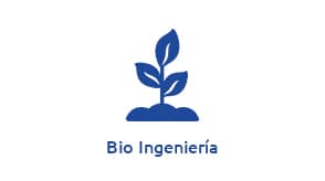 bio-ingenieria