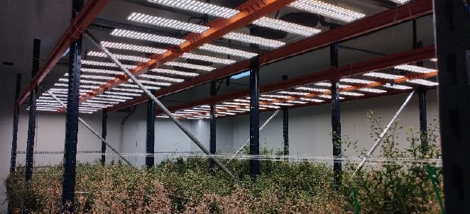 Cámara de crecimiento avanzada